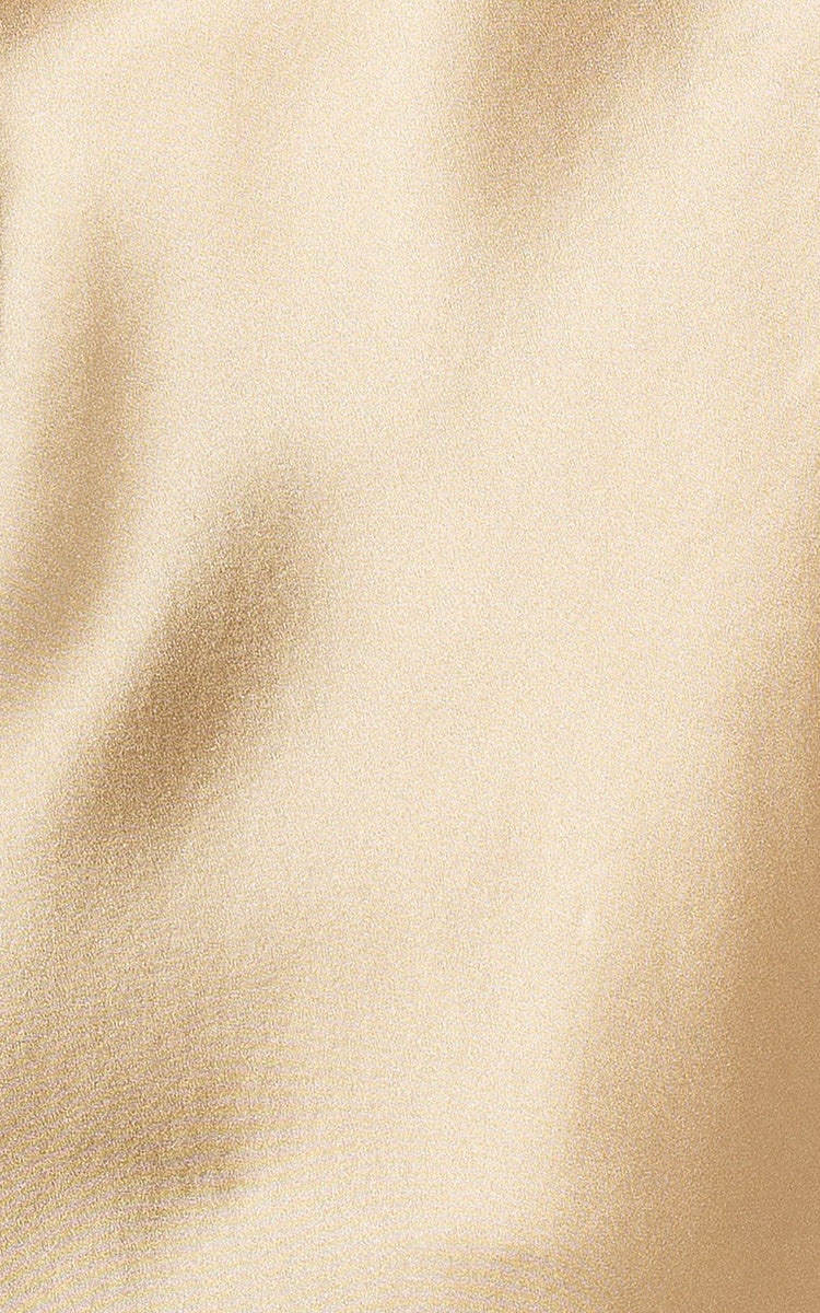 Ginia 100% Silk Singlet with Round Neck in Mink GBS205